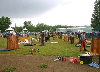 Chetwynd Annual Chainsaw Carving Championship