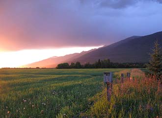 Fertile valley near McBride, BC