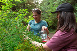 Two women picking berries in Daajing Giids